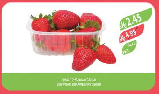 Strawberry from Egypt available at Farm  in KSA, Saudi Arabia, Saudi - Al Khobar