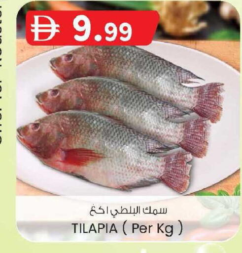 available at الصفا in الإمارات العربية المتحدة , الامارات - ٱلْعَيْن‎