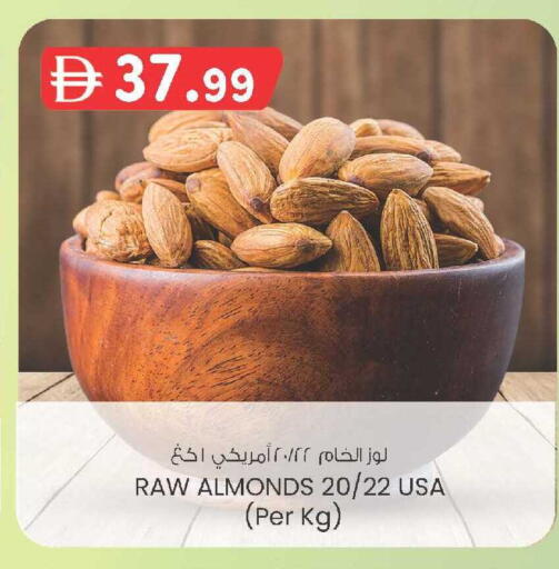 available at الصفا in الإمارات العربية المتحدة , الامارات - أبو ظبي