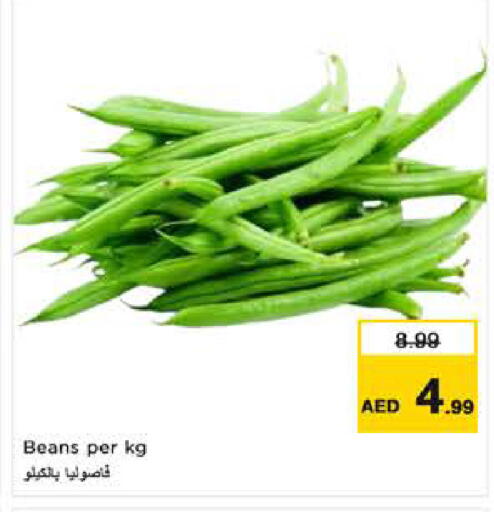 available at نستو هايبرماركت in الإمارات العربية المتحدة , الامارات - ٱلْعَيْن‎