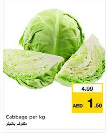 Cabbage available at لاست تشانس in الإمارات العربية المتحدة , الامارات - ٱلْفُجَيْرَة‎