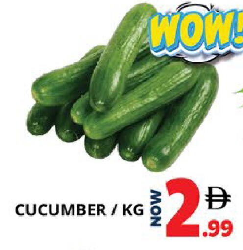 Cucumber available at اكسبرس المدينة هايبرماركت in الإمارات العربية المتحدة , الامارات - أبو ظبي
