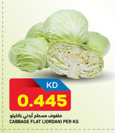 Cabbage from Jordan available at Oncost in Kuwait - Jahra Governorate