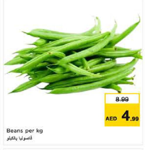 available at نستو هايبرماركت in الإمارات العربية المتحدة , الامارات - ٱلْفُجَيْرَة‎