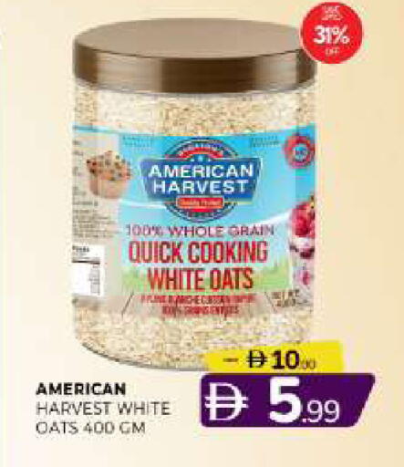 available at المدينة in الإمارات العربية المتحدة , الامارات - الشارقة / عجمان