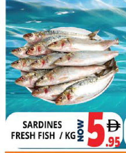 available at اكسبرس المدينة هايبرماركت in الإمارات العربية المتحدة , الامارات - أبو ظبي