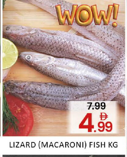 Mango available at مانجو هايبرماركت in الإمارات العربية المتحدة , الامارات - دبي