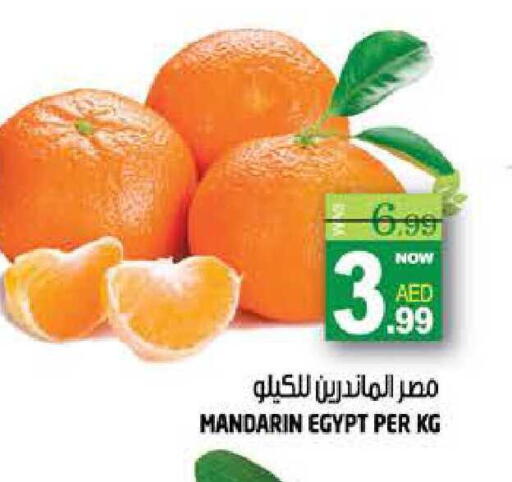Mandarin from Egypt available at هاشم هايبرماركت in الإمارات العربية المتحدة , الامارات - الشارقة / عجمان