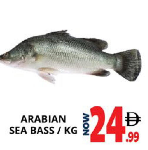 available at اكسبرس المدينة هايبرماركت in الإمارات العربية المتحدة , الامارات - أبو ظبي