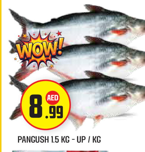 available at Baniyas Spike  in UAE - Fujairah