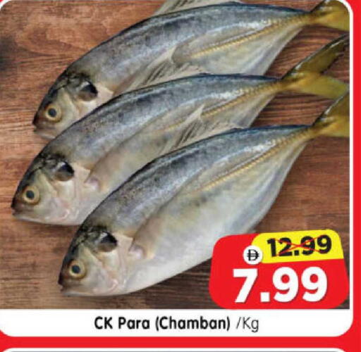 available at هايبر ماركت المدينة in الإمارات العربية المتحدة , الامارات - أبو ظبي