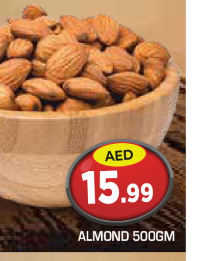 available at سنابل بني ياس in الإمارات العربية المتحدة , الامارات - أم القيوين‎