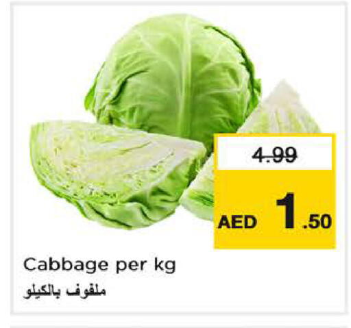 Cabbage available at Nesto Hypermarket in UAE - Dubai