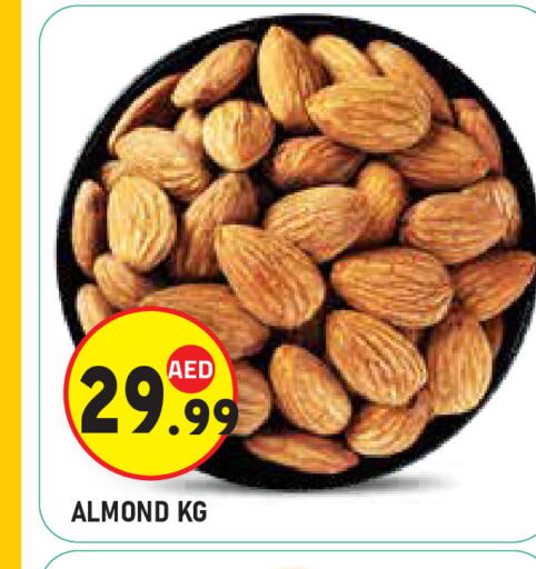 available at سنابل بني ياس in الإمارات العربية المتحدة , الامارات - أبو ظبي