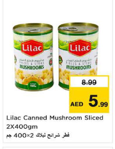 Mushroom available at نستو هايبرماركت in الإمارات العربية المتحدة , الامارات - ٱلْفُجَيْرَة‎