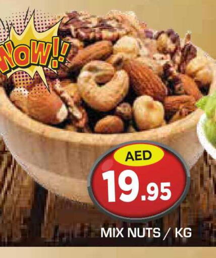 available at سنابل بني ياس in الإمارات العربية المتحدة , الامارات - أم القيوين‎