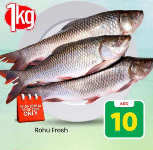 available at مارك & سيف in الإمارات العربية المتحدة , الامارات - أبو ظبي