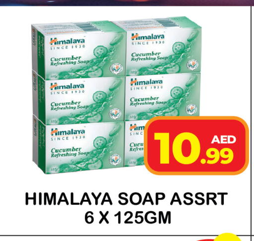 Cucumber available at سنابل بني ياس in الإمارات العربية المتحدة , الامارات - رَأْس ٱلْخَيْمَة