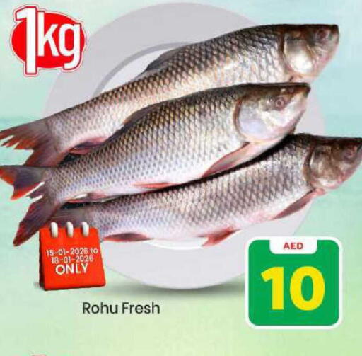 available at مارك & سيف in الإمارات العربية المتحدة , الامارات - الشارقة / عجمان