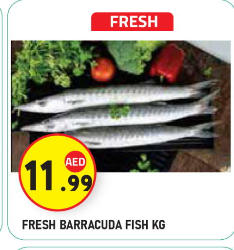 available at Baniyas Spike  in UAE - Abu Dhabi