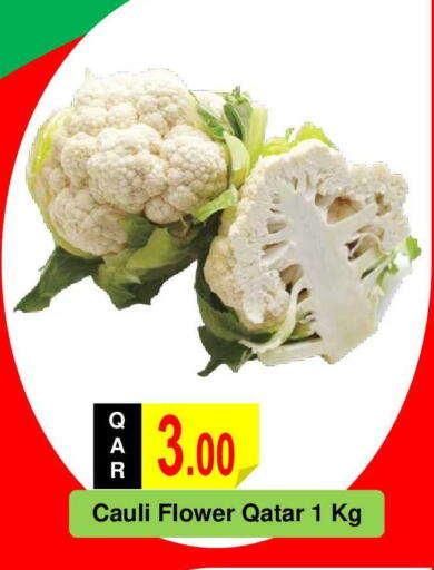 available at مجموعة ريجنسي in قطر - الدوحة