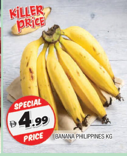 Banana available at المدينة in الإمارات العربية المتحدة , الامارات - الشارقة / عجمان