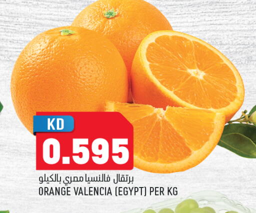 Orange from Egypt available at Oncost in Kuwait - Jahra Governorate