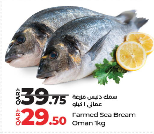 available at لولو هايبرماركت in قطر - الدوحة