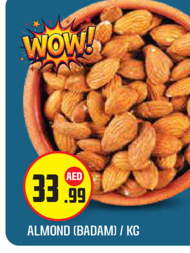 available at سنابل بني ياس in الإمارات العربية المتحدة , الامارات - أبو ظبي