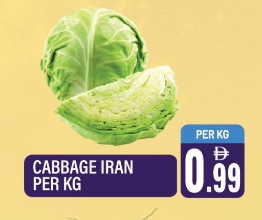 Cabbage from Iran available at Dream Land in UAE - Sharjah / Ajman