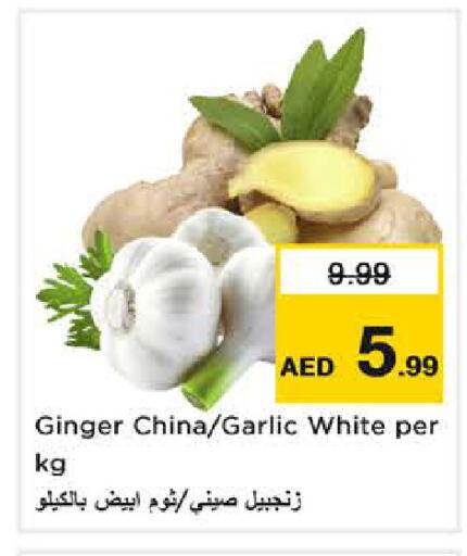 Ginger Garlic from China available at نستو هايبرماركت in الإمارات العربية المتحدة , الامارات - الشارقة / عجمان
