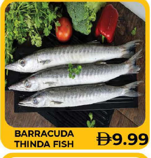 available at AL MADINA (Dubai) in UAE - Dubai