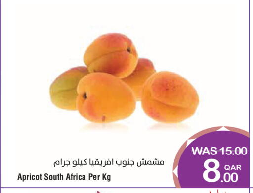 Apricot from South Africa available at ميغا مارت in قطر - الشحانية
