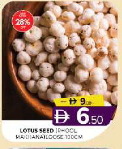 available at المدينة in الإمارات العربية المتحدة , الامارات - الشارقة / عجمان