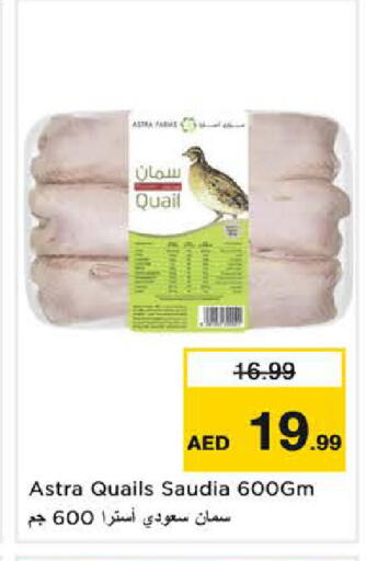 available at نستو هايبرماركت in الإمارات العربية المتحدة , الامارات - الشارقة / عجمان