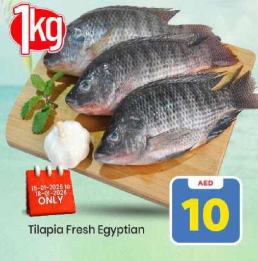 available at مارك & سيف in الإمارات العربية المتحدة , الامارات - الشارقة / عجمان