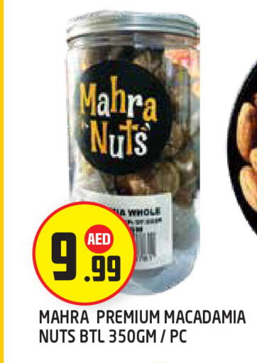 available at سنابل بني ياس in الإمارات العربية المتحدة , الامارات - أبو ظبي