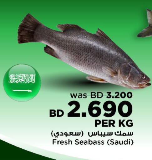 available at أسواق الحلي in البحرين