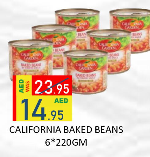 available at ROYAL GULF HYPERMARKET LLC in UAE - Abu Dhabi