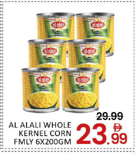 Mango available at مانجو هايبرماركت in الإمارات العربية المتحدة , الامارات - دبي