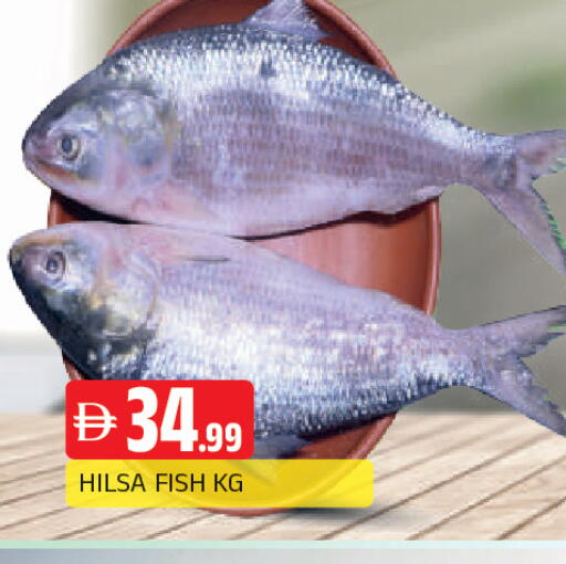 available at AL MADINA in UAE - Sharjah / Ajman