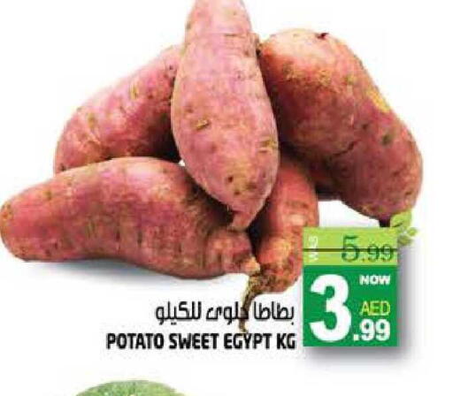Potato from Egypt available at هاشم هايبرماركت in الإمارات العربية المتحدة , الامارات - الشارقة / عجمان