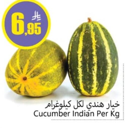 Cucumber available at Dmart Hyper in KSA, Saudi Arabia, Saudi - Dammam