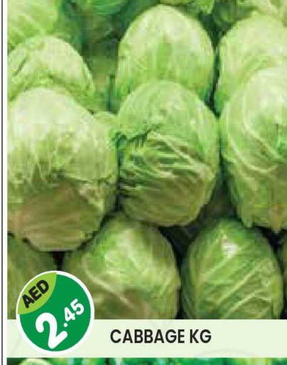 Cabbage available at Baniyas Spike  in UAE - Abu Dhabi