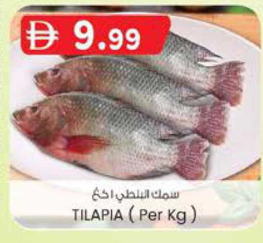 available at ك. إم. هايبرماركت in الإمارات العربية المتحدة , الامارات - ٱلْعَيْن‎