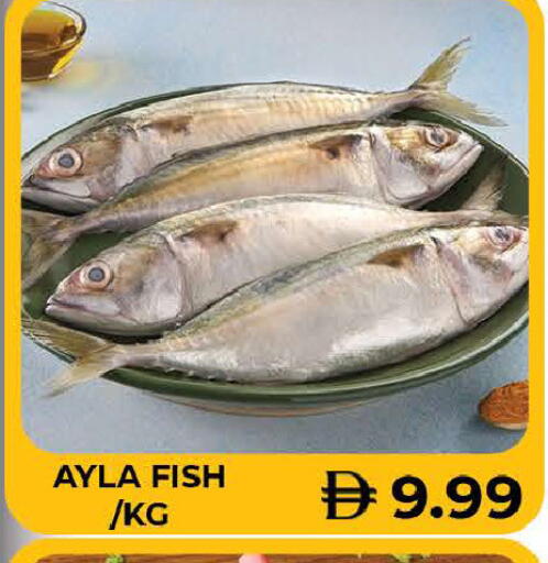 available at المدينة in الإمارات العربية المتحدة , الامارات - دبي