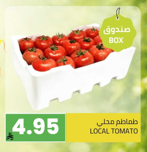 Tomato available at Astra Markets in KSA, Saudi Arabia, Saudi - Tabuk