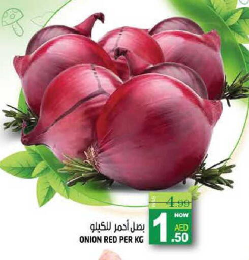 Onion available at هاشم هايبرماركت in الإمارات العربية المتحدة , الامارات - الشارقة / عجمان