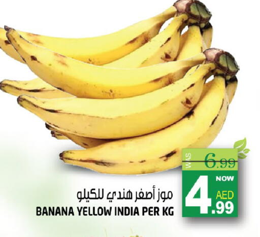 Banana from India available at هاشم هايبرماركت in الإمارات العربية المتحدة , الامارات - الشارقة / عجمان