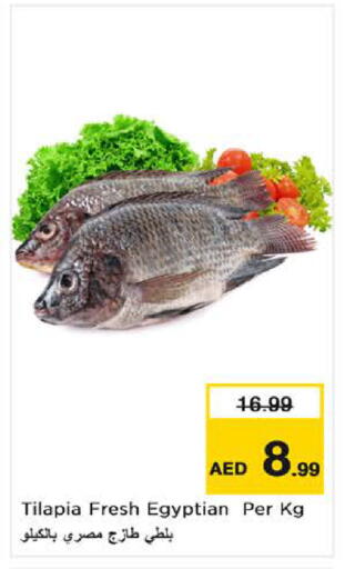 available at نستو هايبرماركت in الإمارات العربية المتحدة , الامارات - ٱلْعَيْن‎